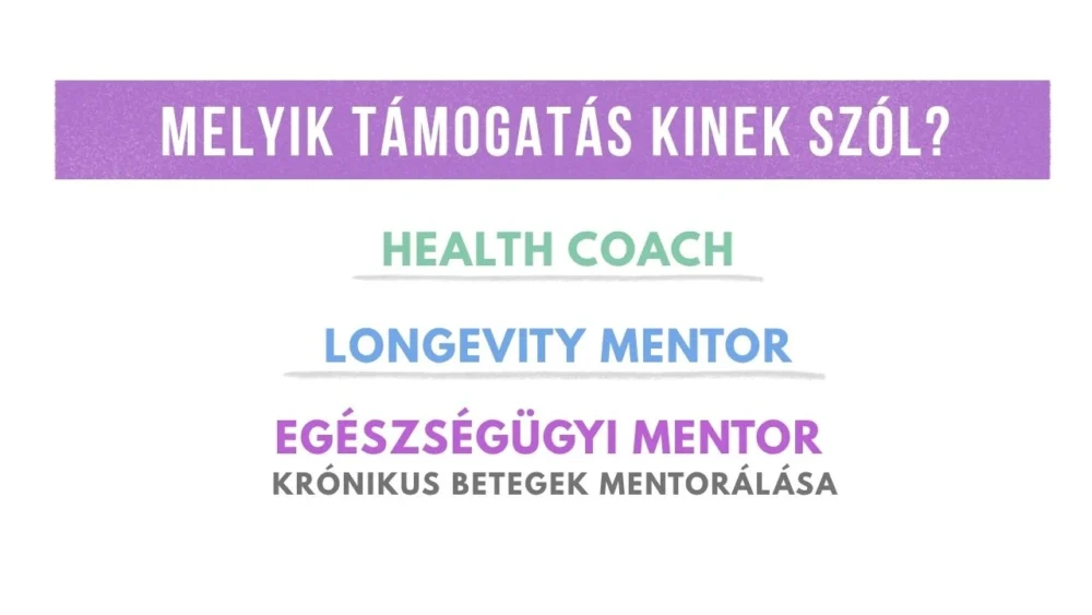 Health coach, longevity mentor és egészségügyi mentor – melyik támogatás kinek szól?
